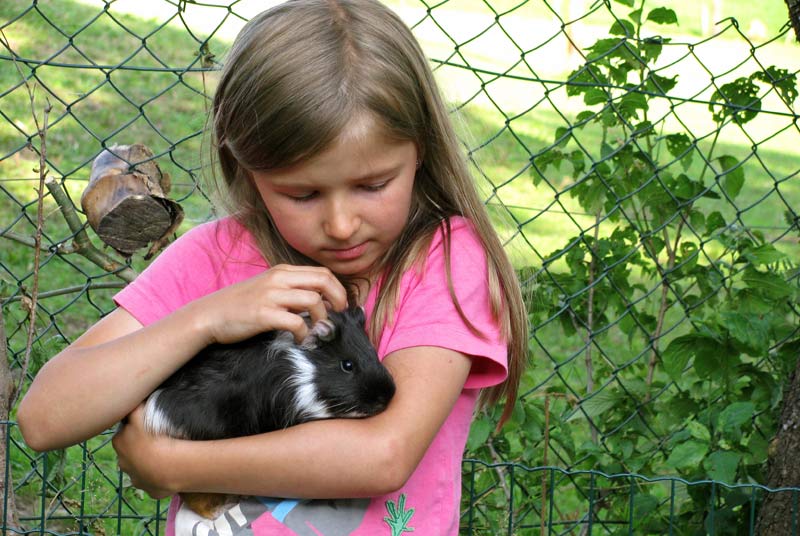Tiere streicheln